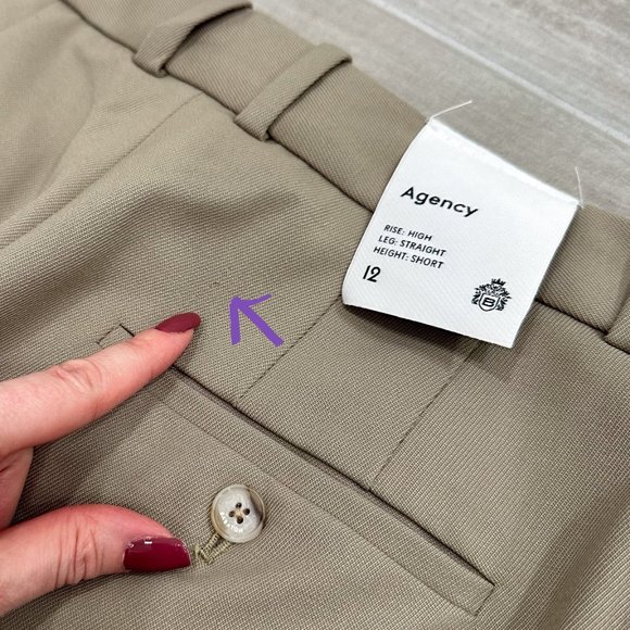 Aritzia Babaton Agency High-Rise Wool Twill Trousers Pants in Taupe Beige Sz 12S - Picture 16 of 16